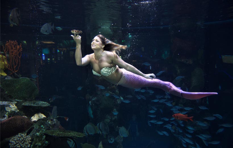 Silverton Mermaids things to do in Vegas